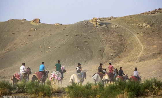 جشنواره اسب اصیل ترکمن